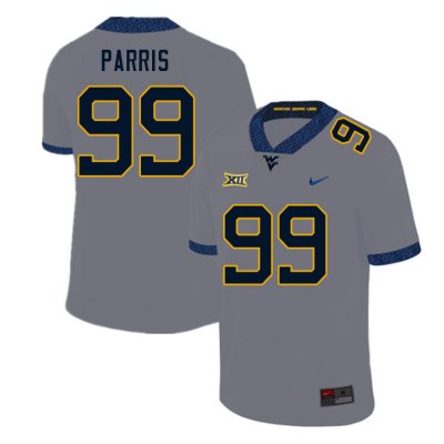 Men's West Virginia Mountaineers NCAA #99 Kaulin Parris Gray Authentic Nike Stitched College Football Jersey OJ15S67LC